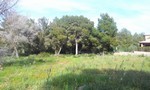- Land - For Sale - 2