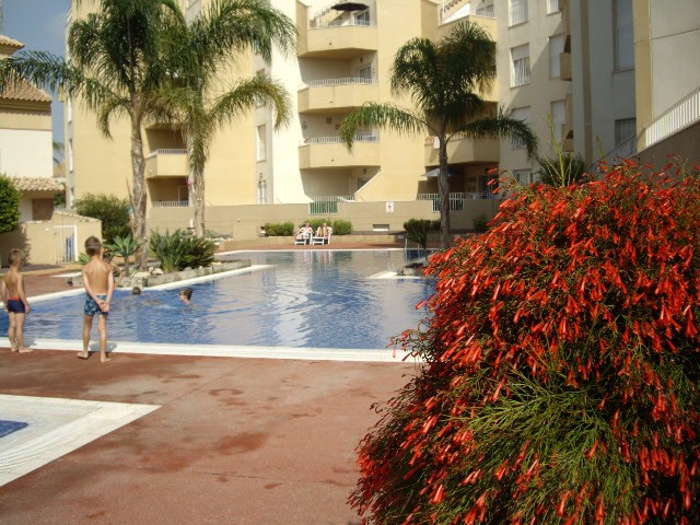 3 Bedroom Penthouse Apartment In Los..
