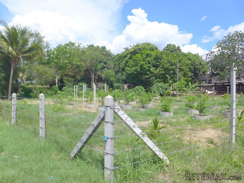 Nearly 1 Rai building plot next to a.. - 2