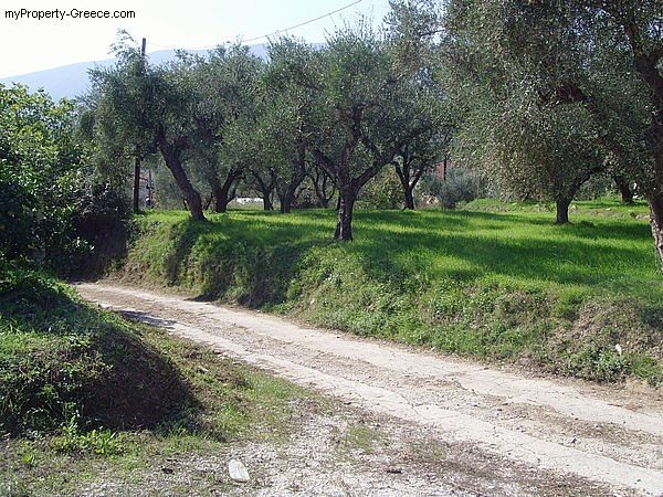 Land with building licence, Zakynthos - 2
