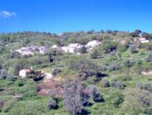 Crete Agricultural Land For Sale - 2