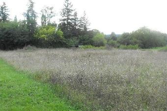 DORDOGNE land constructable of 3120 m2 - 2