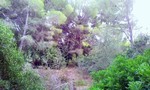 - Land - For Sale