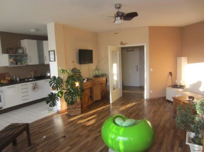 Modernized Apartment near Schloss.. - 2
