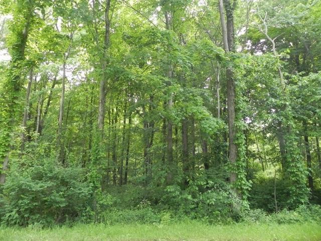 Land For Sale: Clinton, New York