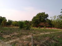 Land For Sale Nakhon Ratchsima Nakhon.. - 2