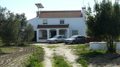 Finca Farm - Awaiting further details..