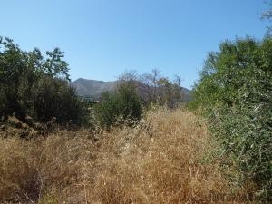 San Llorenç, finca that needs complete.. - 2