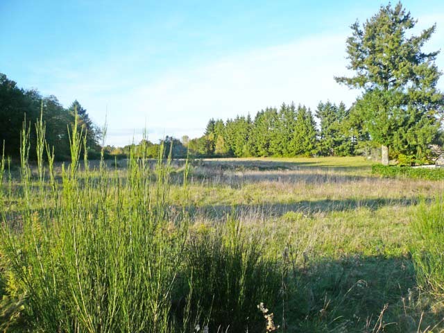 Building Land In Montbron, Charente Area - 2