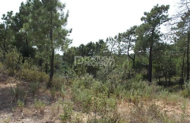 Land - 2