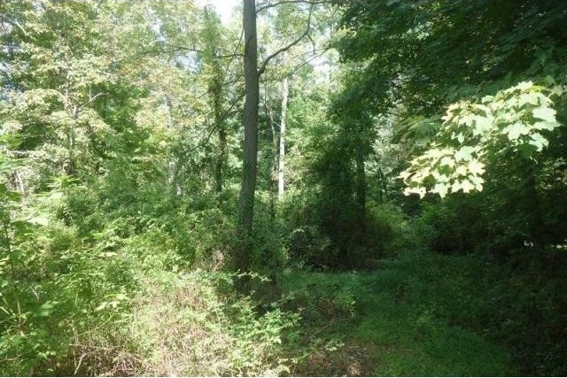 Land For Sale: Greenwich, Connecticut - 2