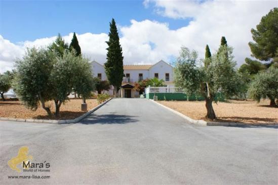 outstanding equestrian property Granada..