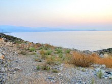 Land On The Beach For Sale In Crete