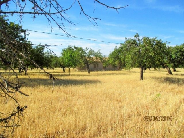 Amazing plot in prime location in Alaro - 2