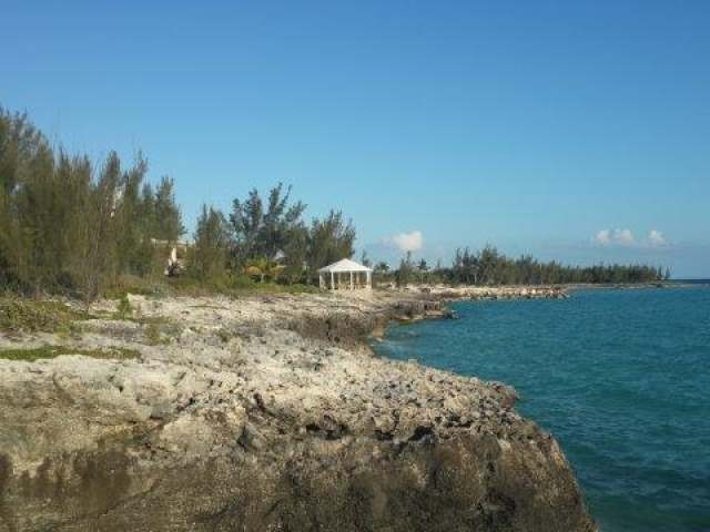 Singlefamilyvacant - This great..