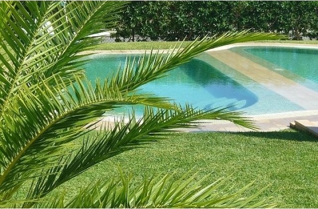 Large apartment with communal pools and.. - 2