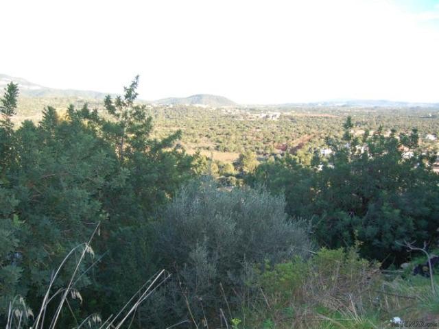 Marvellous plot in the area of Bunyola - 2