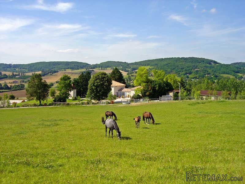 Handsome Country Ensemble In 18 Acres.. - 2