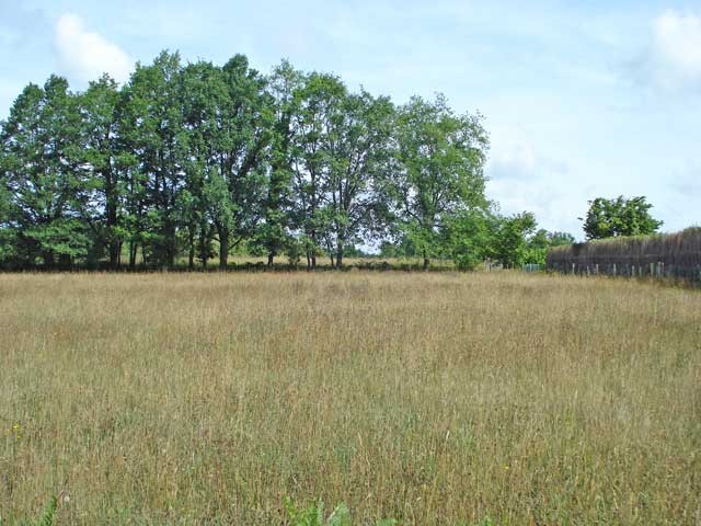 Building Plot In The Saint Mathieu..
