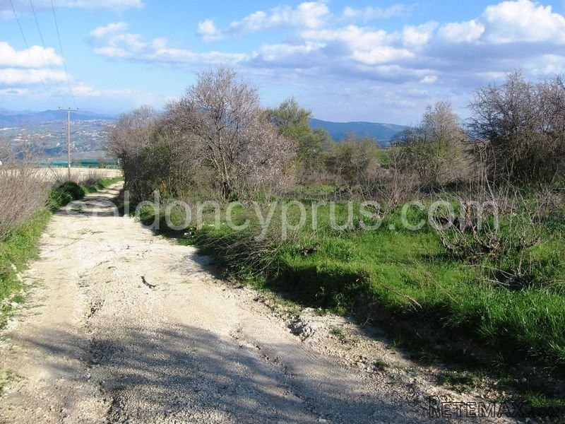 - Land - Paphos - For Sale - 2