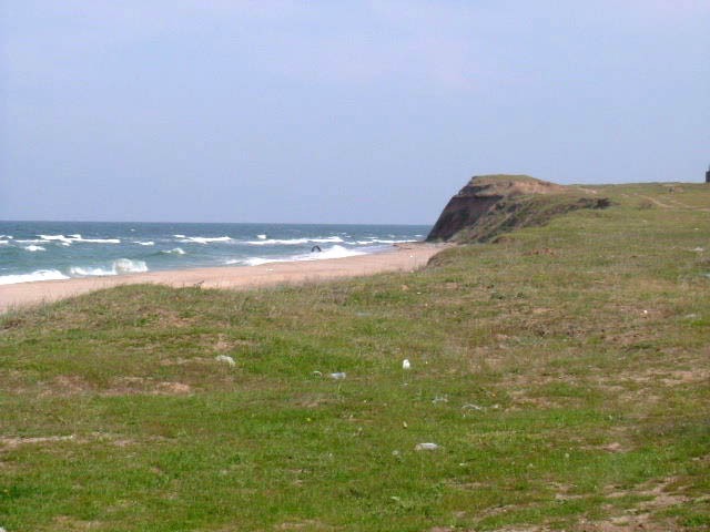 Land in Krapets, Shabla
