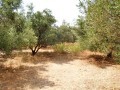 Residential Plot For Sale In Crete