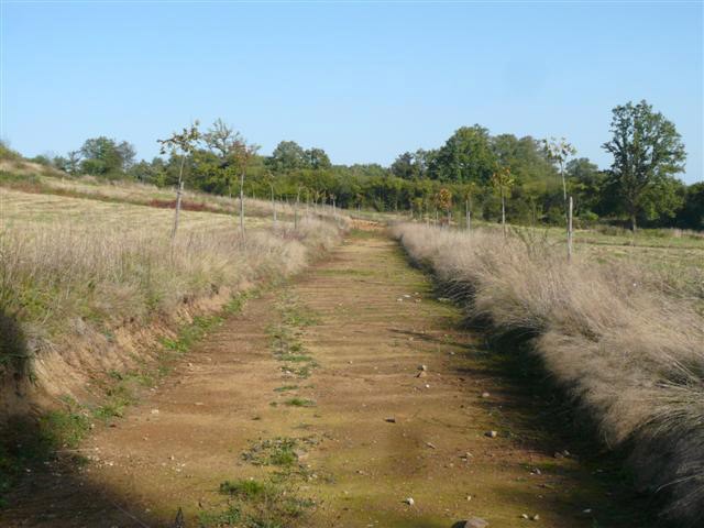 Building Plot For 9 Bungalows In The.. - 2