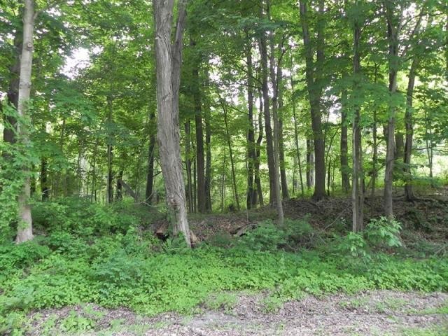 Land For Sale: Clinton, New York - 2