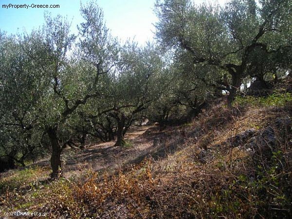 Land - Zakynthos - For Sale - 2