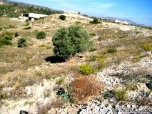 Rhodes Land Property For Sale - 2