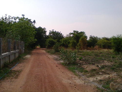 Land For Sale Nakhon Ratchsima Nakhon..