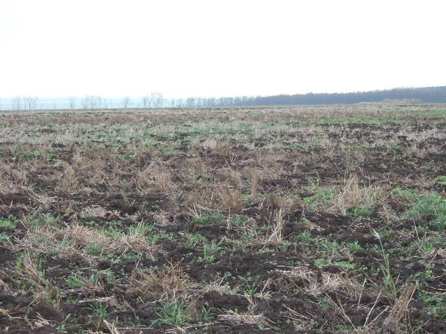 Land in Krapets, Shabla - 2