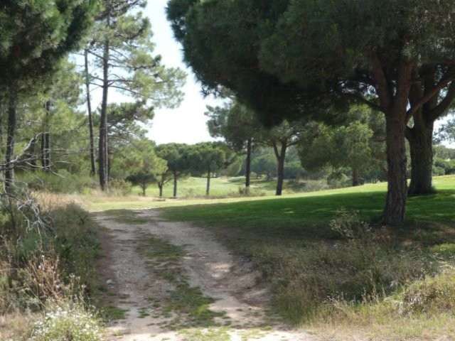 Plot + Project in Quinta do Lago - 2