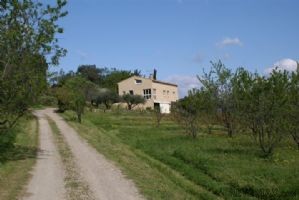 Organic Almond Farm And 200 M² Home..