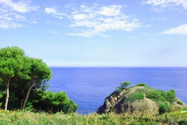 Plot of land close to seafront - 2
