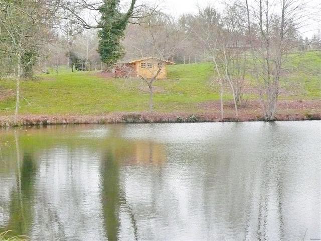 Lake With Chalets And Wood Land - 2