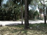 Beautiful Residential Lot - 2