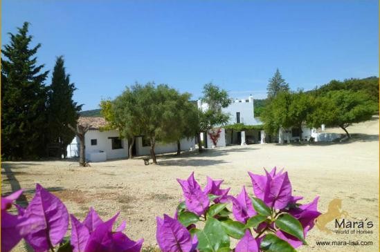 Cortijo Finca Country Property Estate..