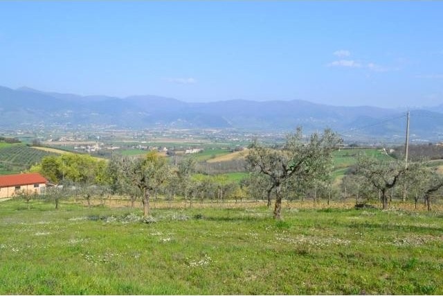 3 Bedrooms - Land - For Sale - 2