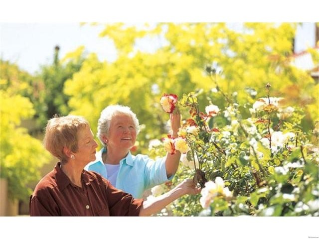 Baldwin Care- Vaucluse Gardens.. - 2
