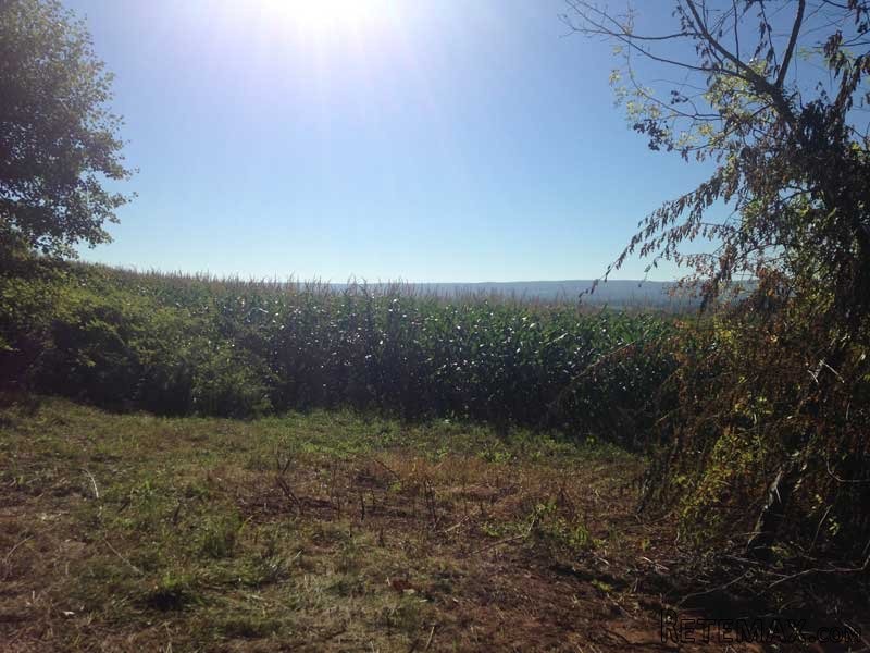 Land For Sale: Highway 360 Welsford.. - 2