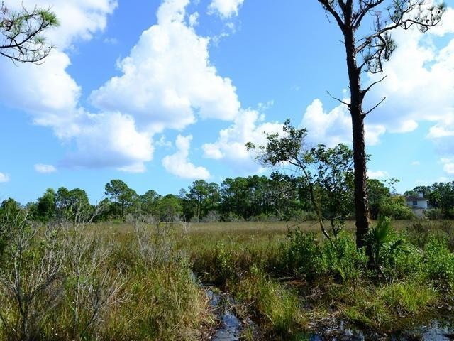 Land For Sale: Jupiter, Florida