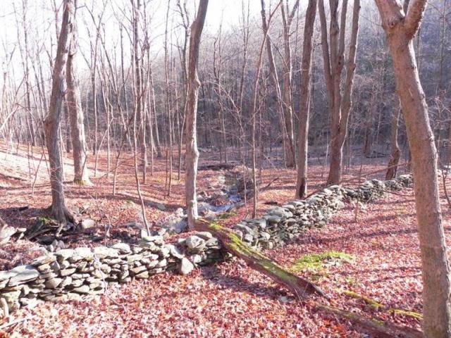 Land For Sale: Milan, New York - 2