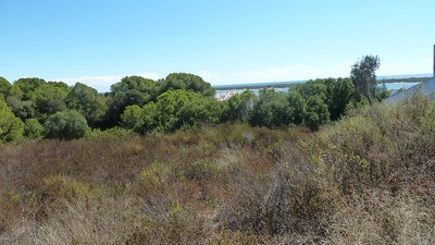 Land - Awaiting further details for..