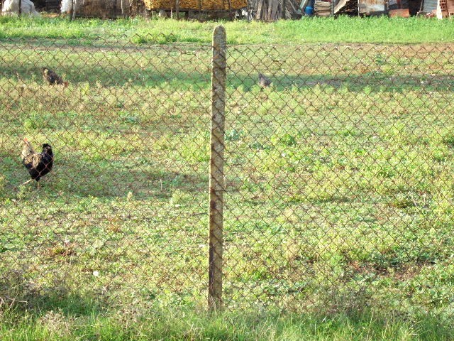 Land in Sokolovo, Balchik - 2