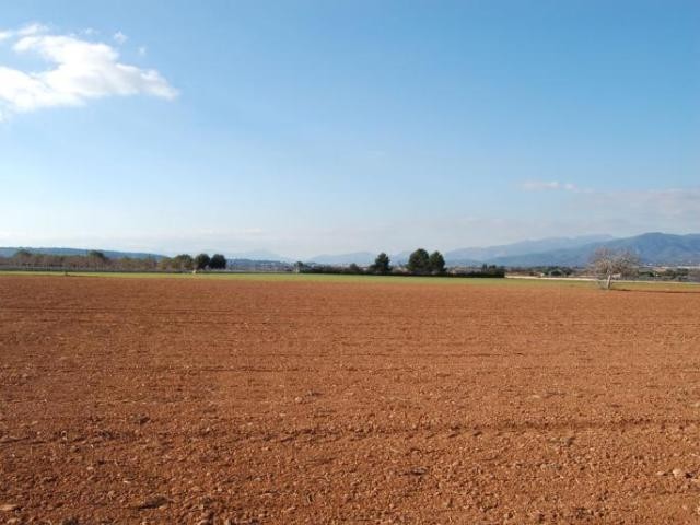 *RESERVED* Plot with licence and.. - 2