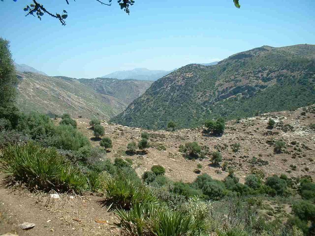 Land - This is a magnificent expansive..