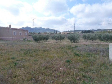 Villa in Hondon de los Frailes, Alicante - 2