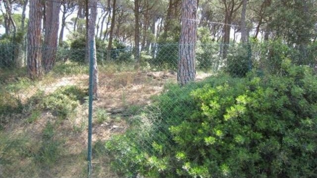 PLOT IN BEGUR - 2