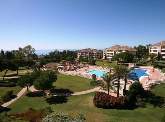 Duplex Penthouse for sale in The Golden..